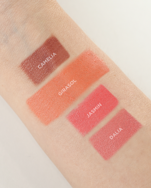 BLUSH EN STICK DOLCE BELLA